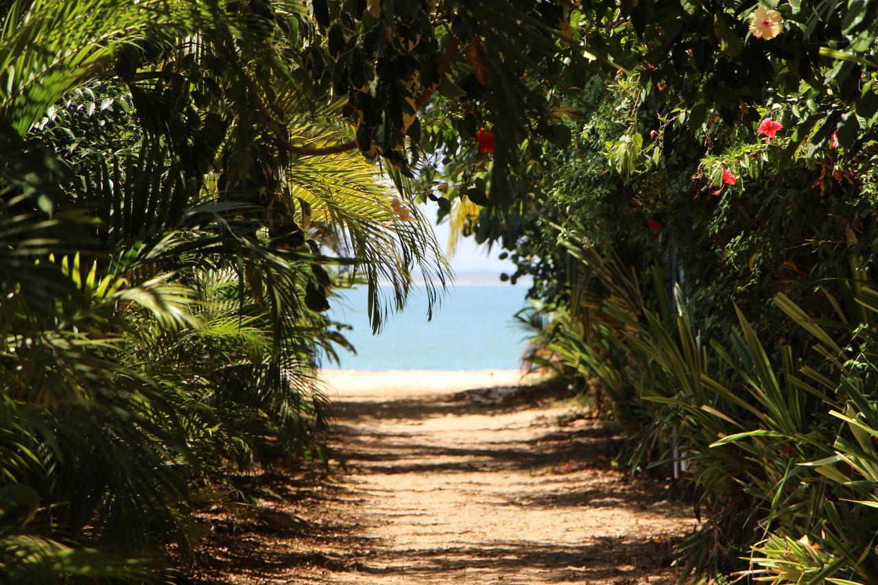 Coroaci Beach House Barra Grande  Bagian luar foto